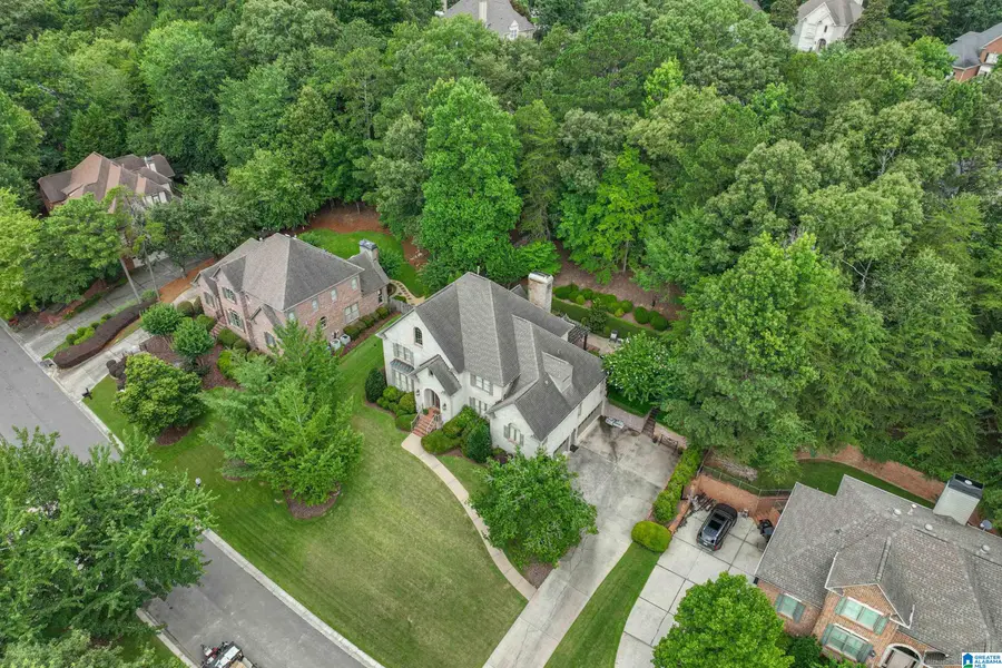 909 VESTLAKE HOLLOW CIRCLE, Vestavia Hills, AL 35242 - #3