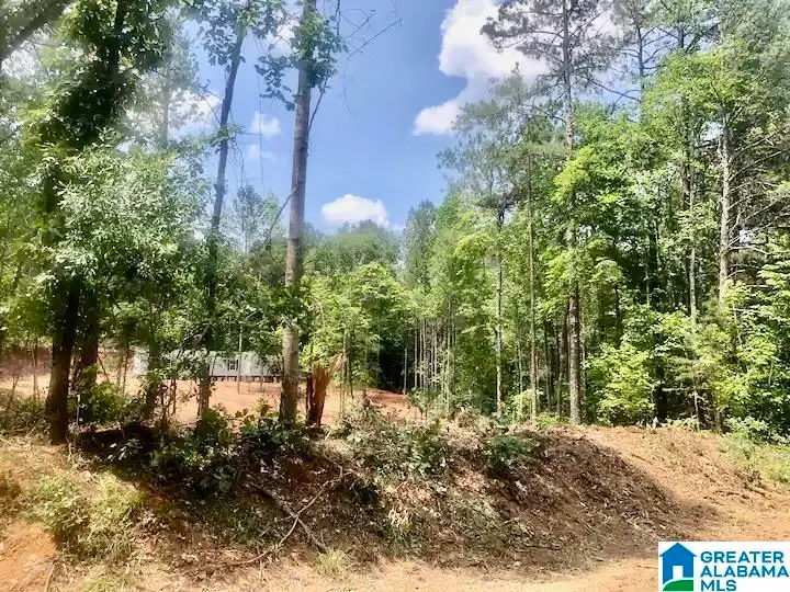 13775 COUNTY ROAD 895, Lineville, AL 36266 - #2