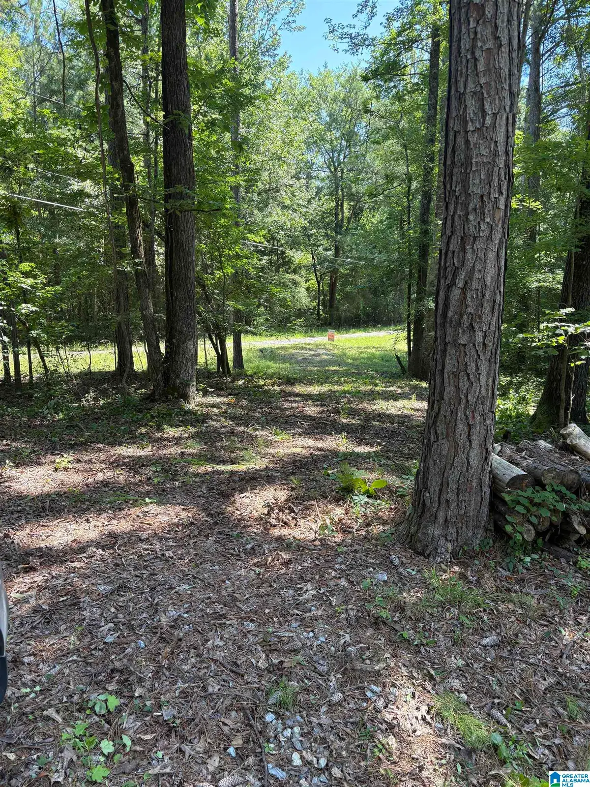 0 0 PINE GLEN ROAD, Talladega, AL 35160 - #1