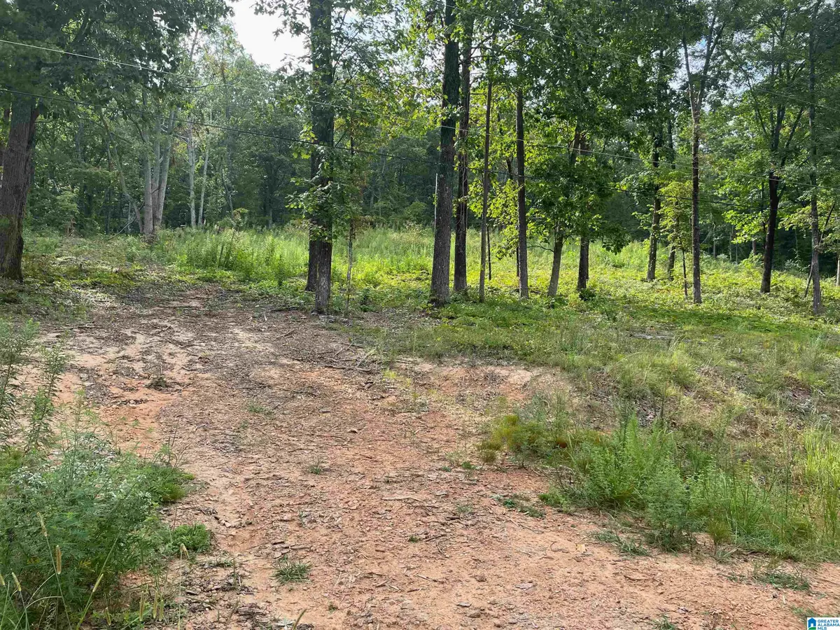 495 ANDERSON MTN DRIVE, Odenville, AL 35120 - #1