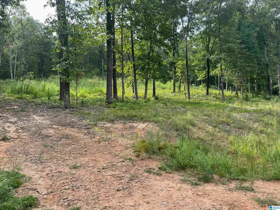 495 ANDERSON MTN DRIVE, Odenville, AL 35120 - #2