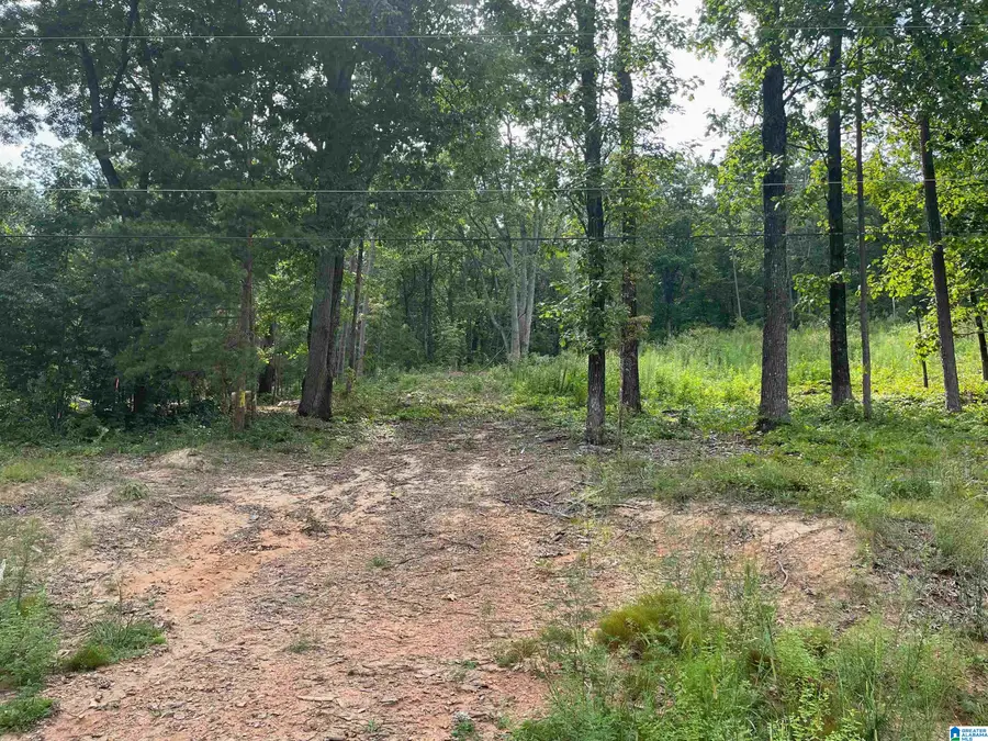 495 ANDERSON MTN DRIVE, Odenville, AL 35120 - #3