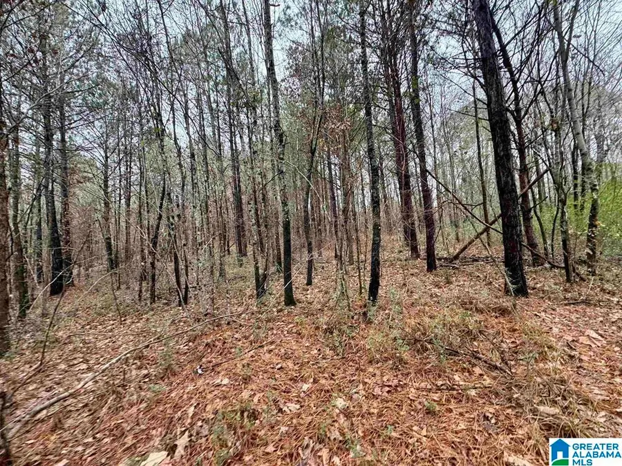 8260 KERMIT JOHNSON ROAD, Pinson, AL 35126 - #3