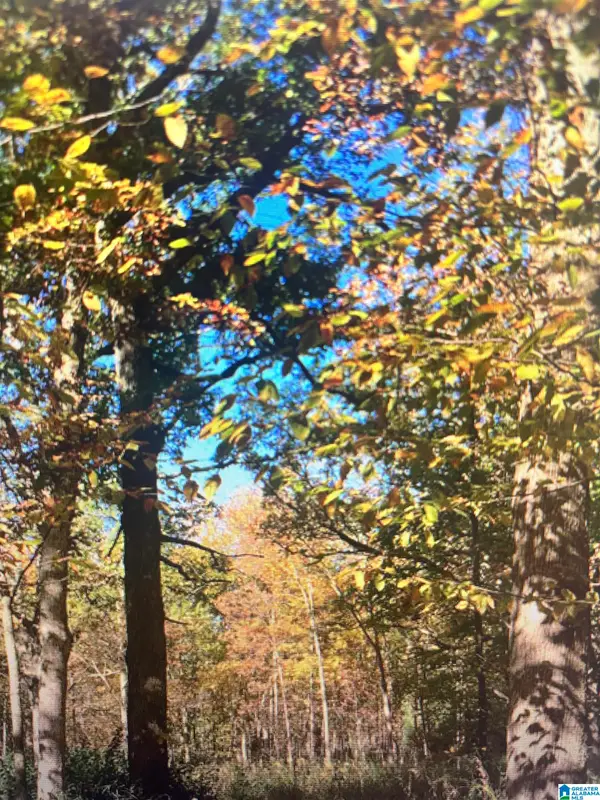 0 MARKLUND ROAD, Empire, AL 35063