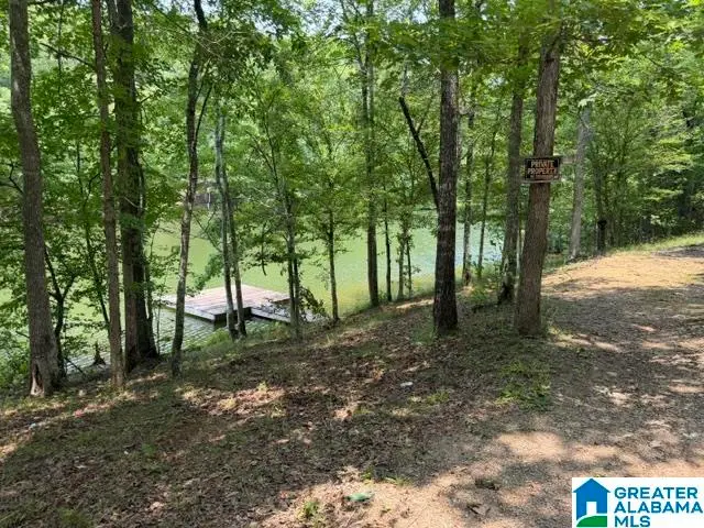 COUNTY ROAD 803, Wedowee, AL 36278 - #1