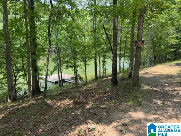 COUNTY ROAD 803, Wedowee, AL 36278