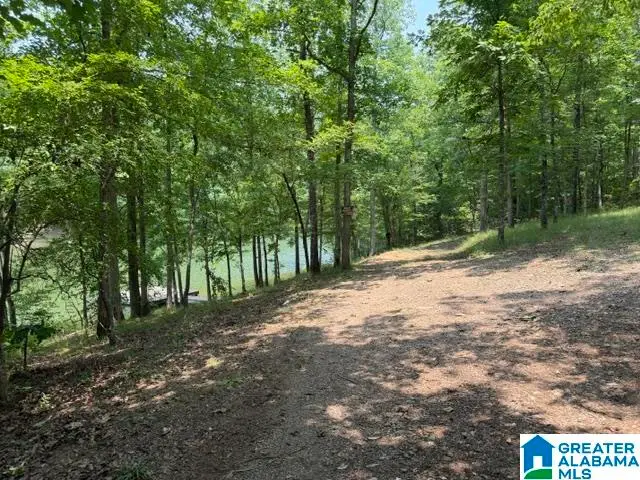 COUNTY ROAD 803, Wedowee, AL 36278 - #2