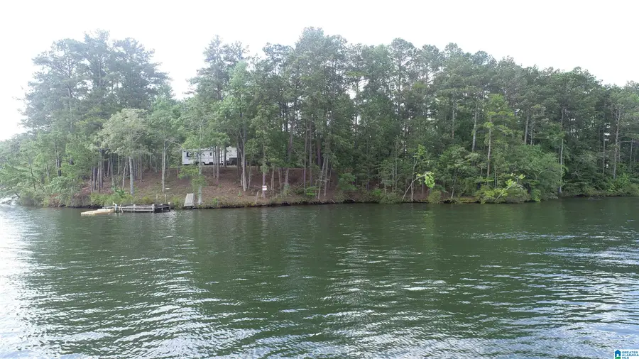0 COUNTY ROAD 804, Wedowee, AL 36278 - #3