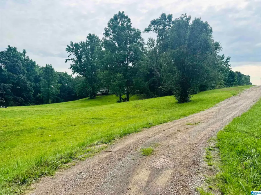 4455 MCCLENDON CHAPEL ROAD, Bessemer, AL 35022 - #3