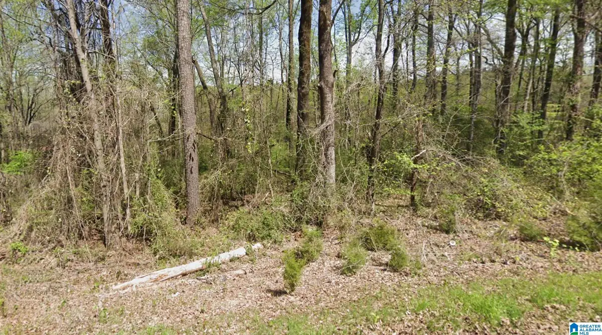 317 HILLTOP ROAD, Adamsville, AL 35005 - #1