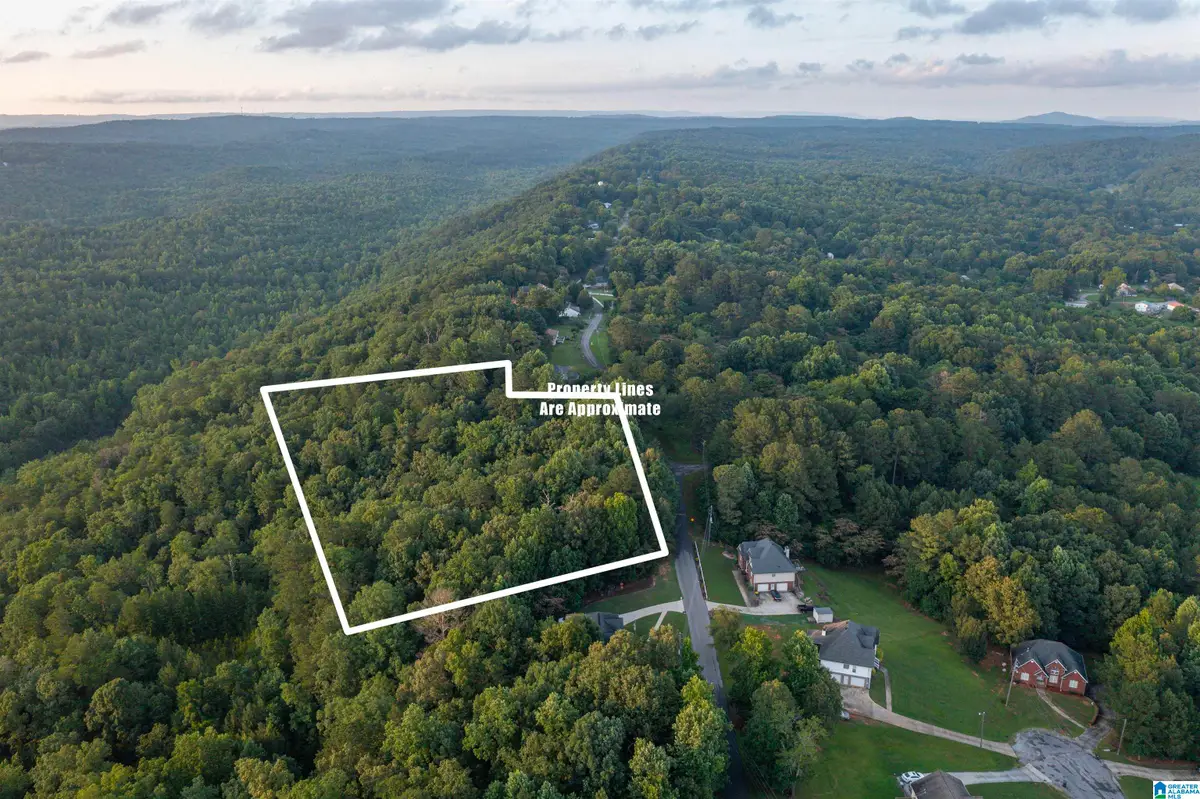 0 LEVINE ROAD, Odenville, AL 35120 - #1