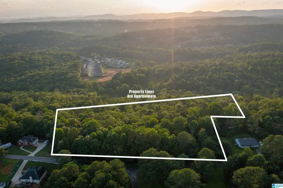 0 LEVINE ROAD, Odenville, AL 35120 - #2