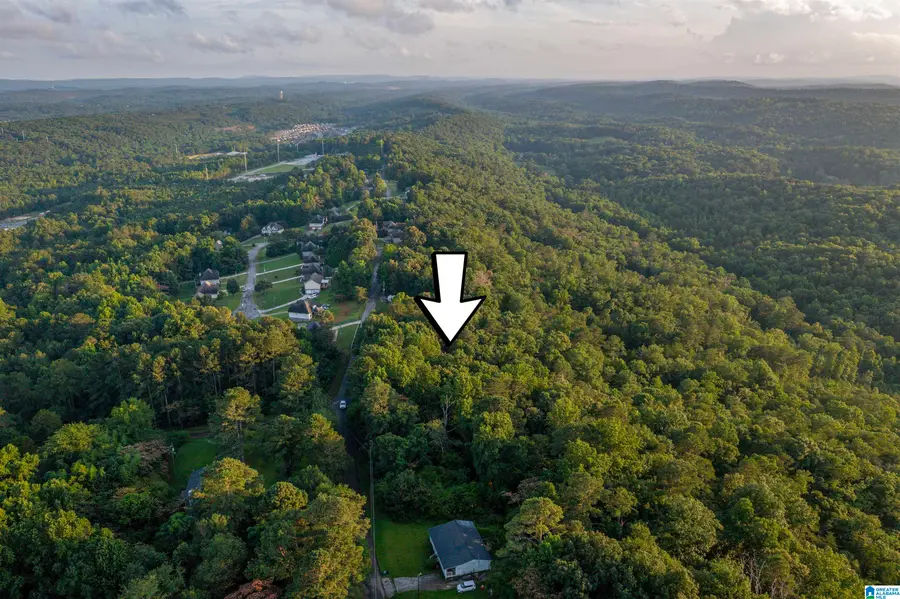 0 LEVINE ROAD, Odenville, AL 35120 - #3