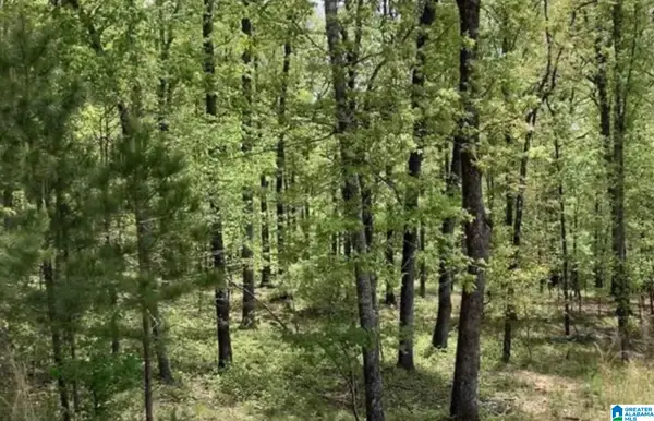 360 GRAY FOX ROAD, Springville, AL 35146