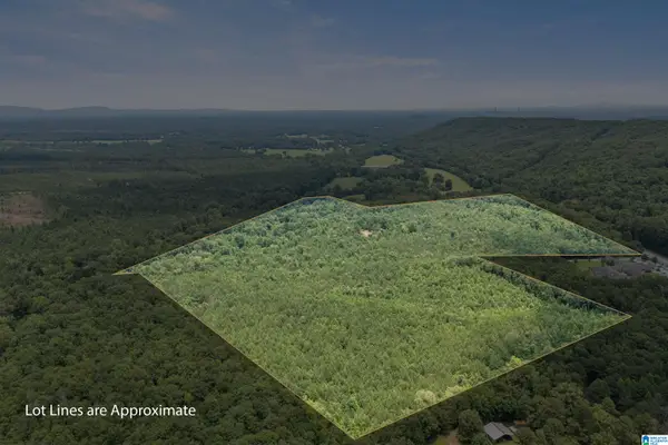 23035 HIGHWAY 25, Columbiana, AL 35051