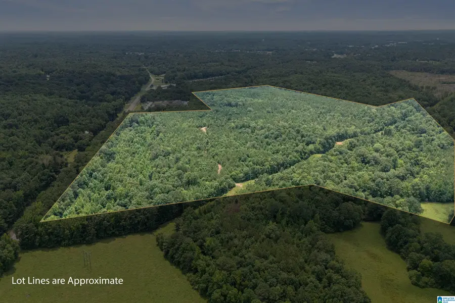 23035 HIGHWAY 25, Columbiana, AL 35051 - #2
