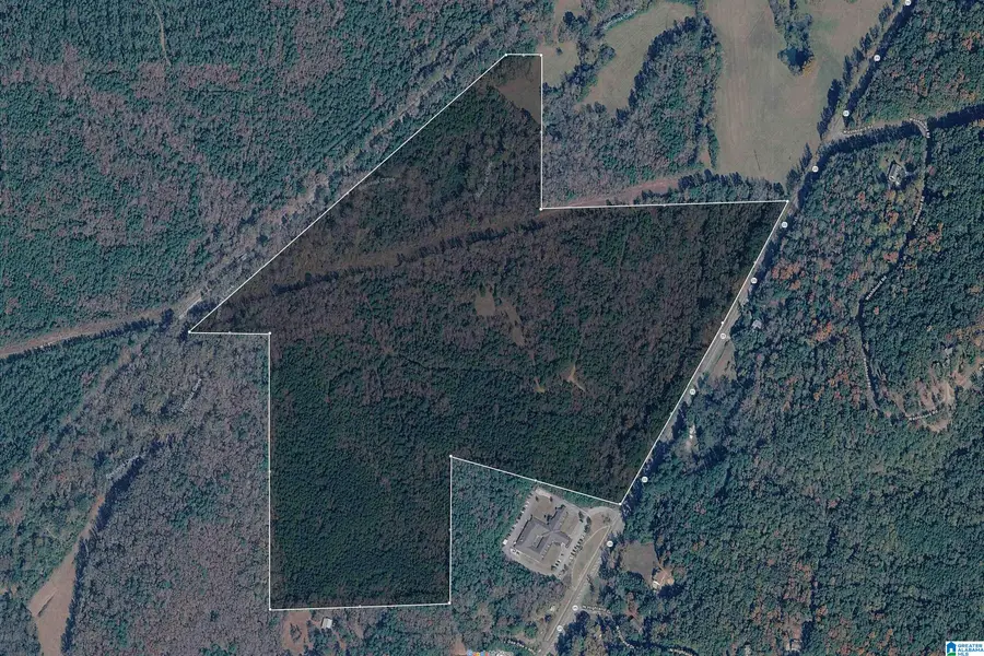 23035 HIGHWAY 25, Columbiana, AL 35051 - #3