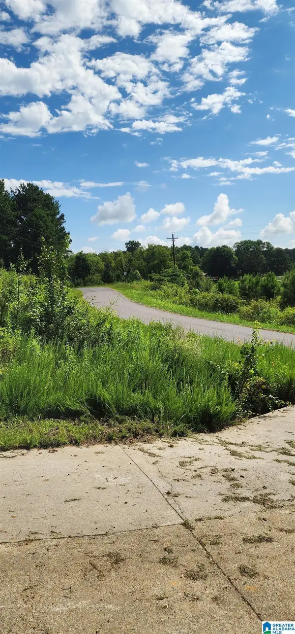 0 HICKS ROAD, Oneonta, AL 35121
