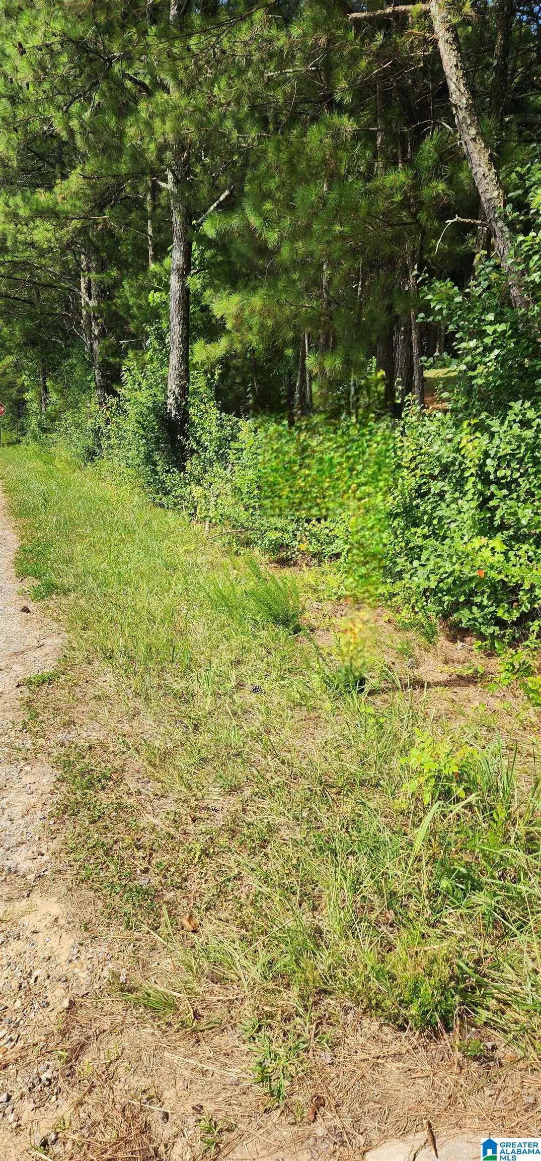 Lot 0 HICKS ROAD, Oneonta, AL 35121 - #1