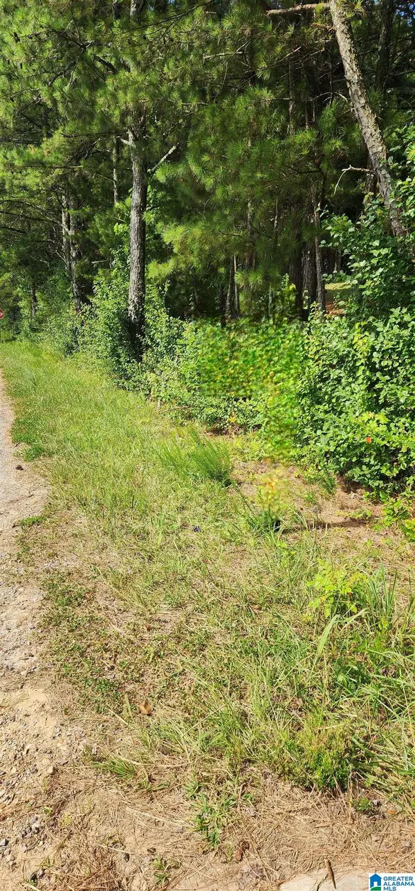 Lot 0 HICKS ROAD, Oneonta, AL 35121