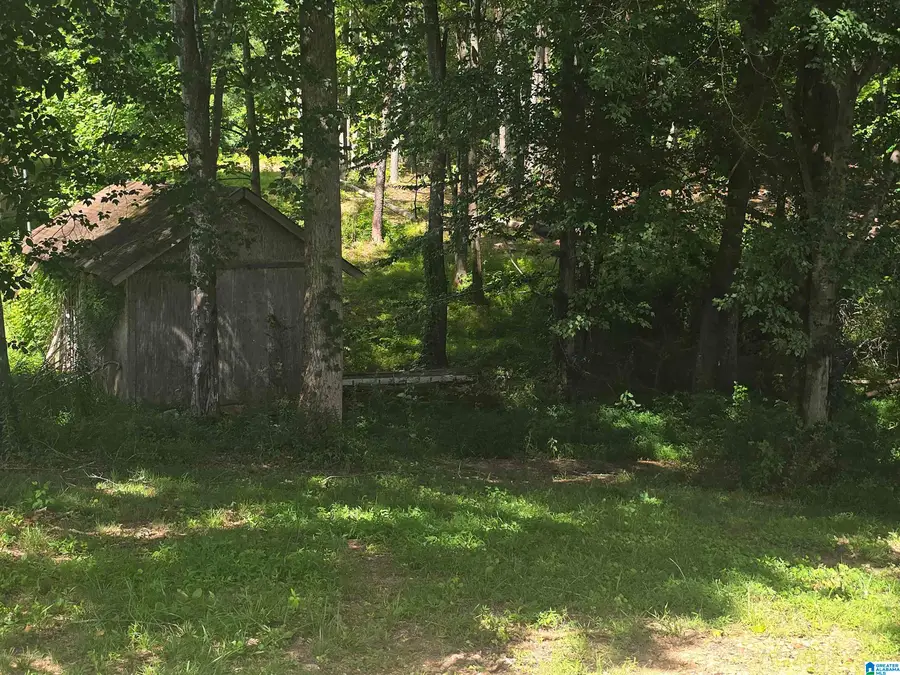 225 COUNTY ROAD 261, Muscadine, AL 36269 - #3