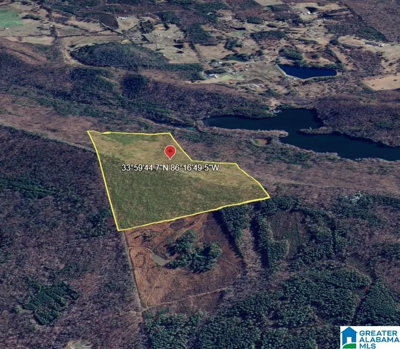 0 BUZZARD ROCK ROAD, Altoona, AL 35952 - #3