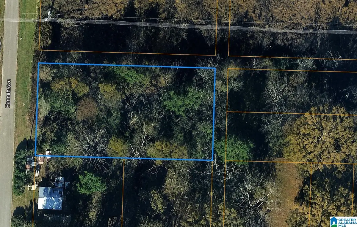 HANNA STREET, Anniston, AL 36201 - #1