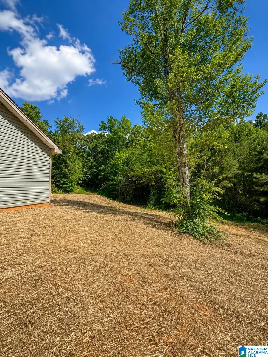 580 COUNTRY BREEZE CIRCLE, Wedowee, AL 36278 - #3