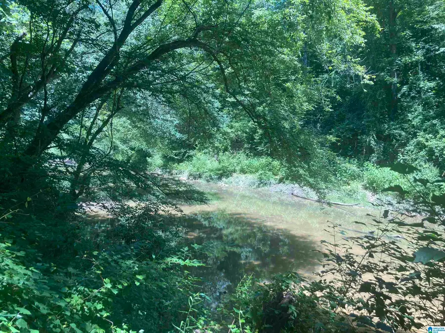 91 Acres COUNTY ROAD 1043, Vinemont, AL 35179 - #2