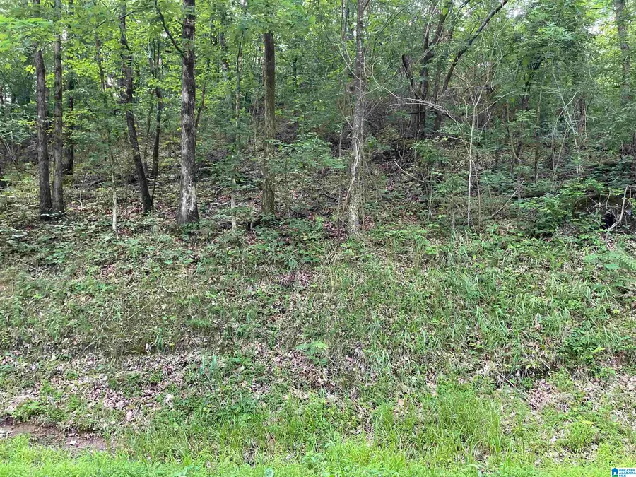 4436 WILLOW STREET, Gardendale, AL 35071 - #3