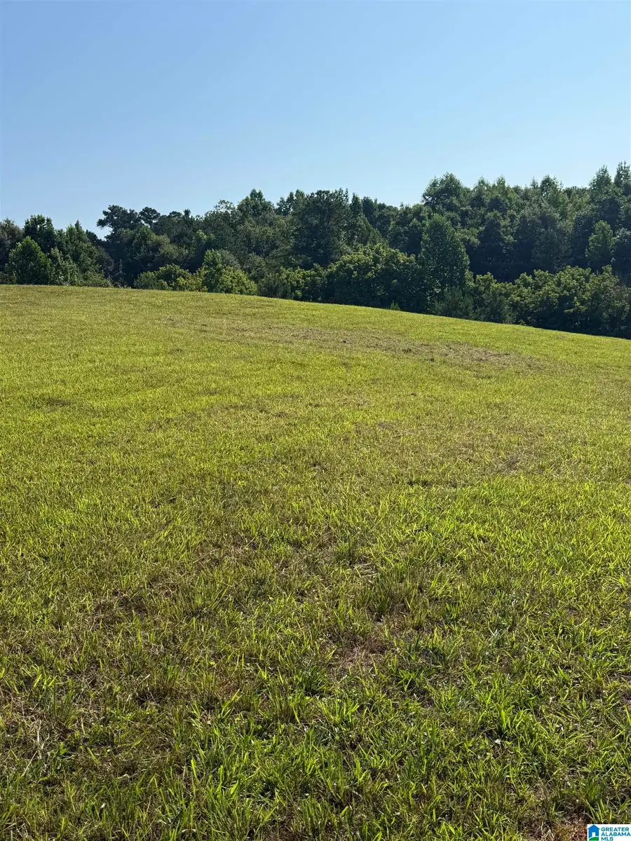 0 COUNTY ROAD 450, Fruithurst, AL 36262 - #3