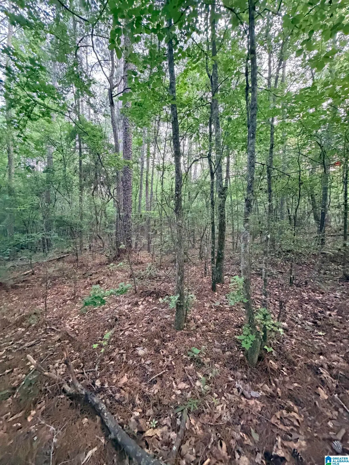 0 HIGHWAY 55, Sterrett, AL 35147 - #1