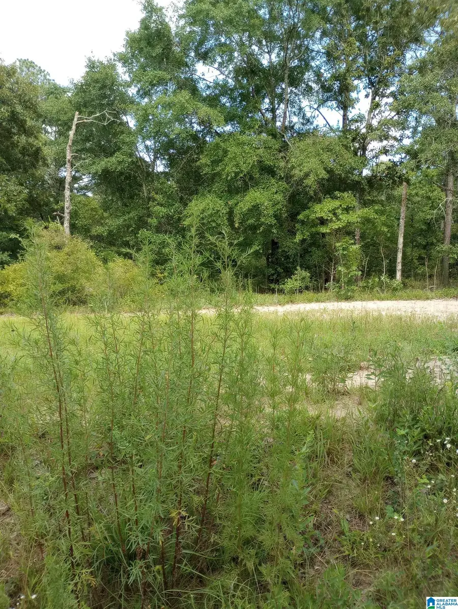 195 HYRAM ROAD, Seale, AL 36875 - #3