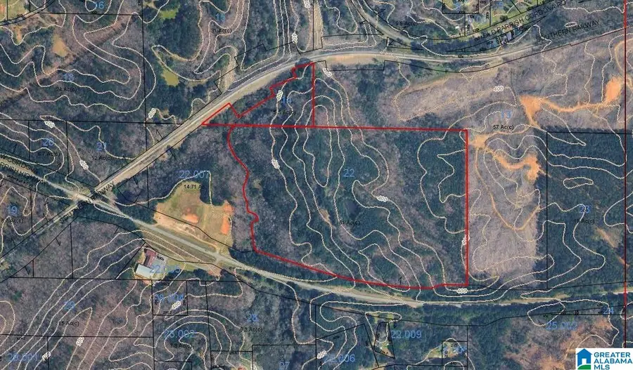 0 NEW PARRISH HIGHWAY, Parrish, AL 35580 - #2