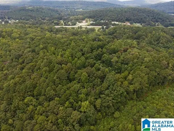 0 CEDAR DRIVE, Allgood, AL 35121