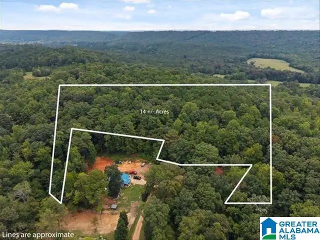 0 CEDAR DRIVE, Oneonta, AL 35121 - #2