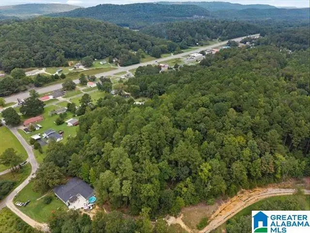 0 CEDAR DRIVE, Oneonta, AL 35121 - #3