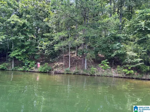 0 ROBIN DRIVE, Wedowee, AL 36278
