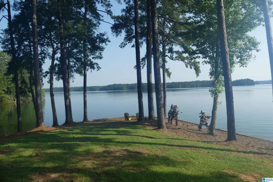 5338 COUNTY ROAD 804, Wedowee, AL 36278 - #3