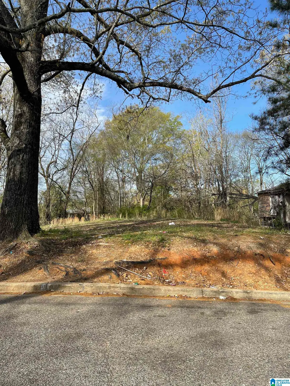 7232 PARIS AVENUE, Birmingham, AL 35206 - #1