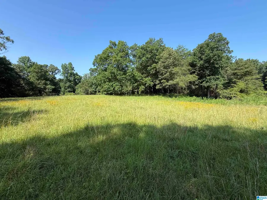1423 7TH PLACE, Pleasant Grove, AL 35127 - #3