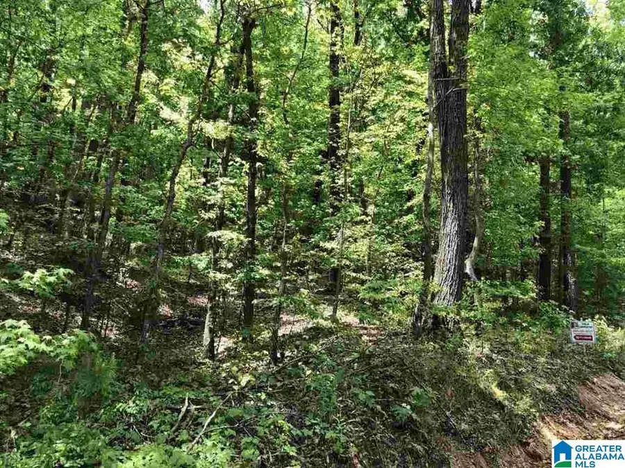 TINY KINGDOM ROAD, Remlap, AL 35133 - #2