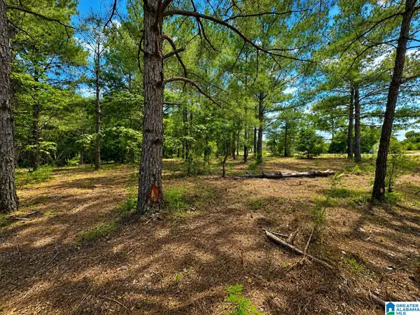 0 N COUNTY ROAD 21 N, Prattville, AL 36051