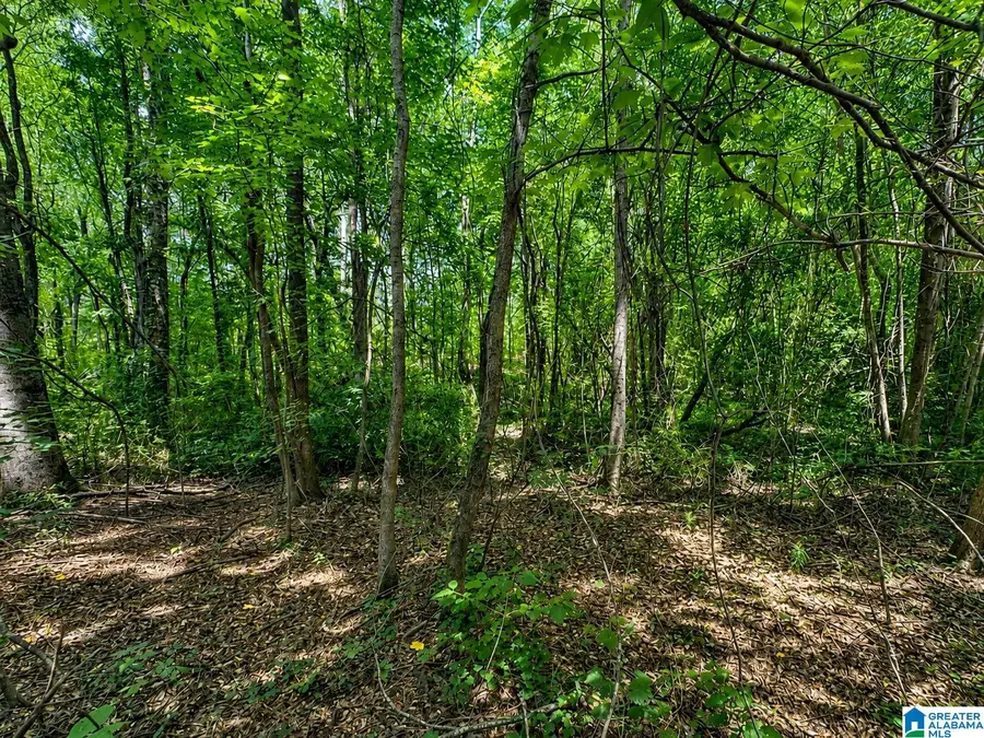 0 N COUNTY ROAD 21 N, Prattville, AL 36051 - #2