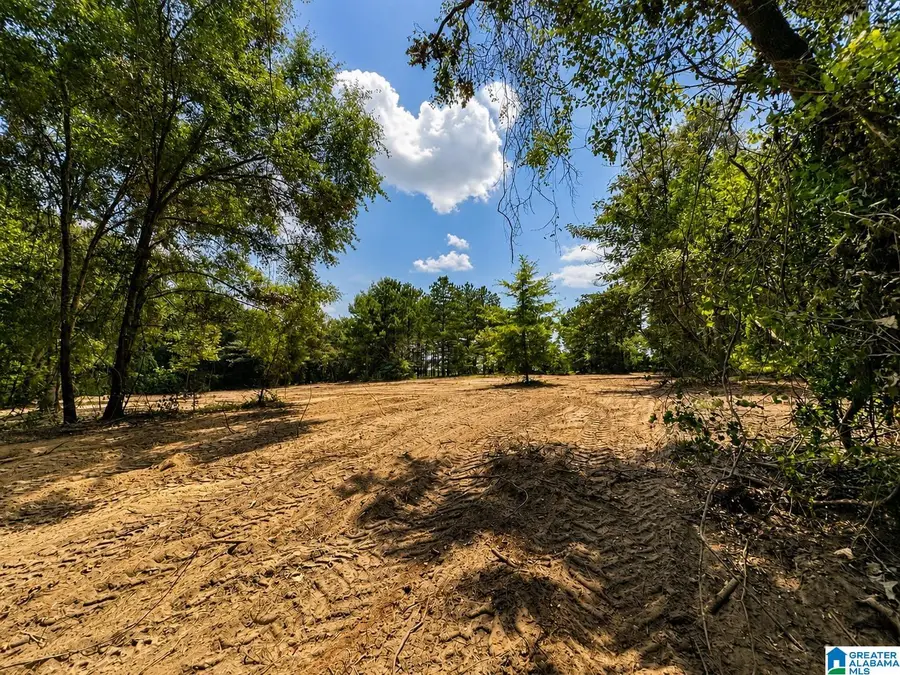 0 N COUNTY ROAD 21 N, Prattville, AL 36051 - #3