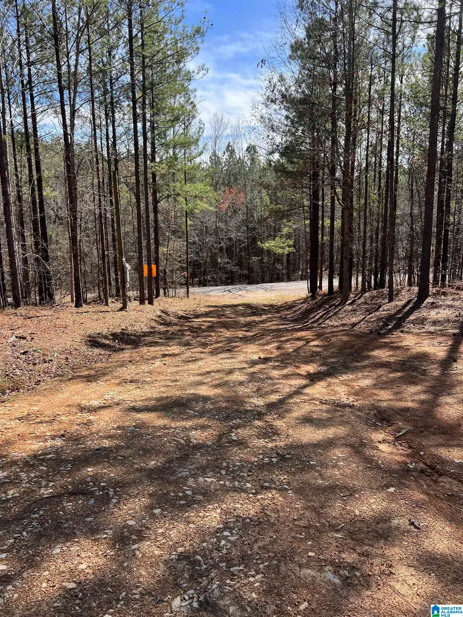 780 SWEET APPLE ROAD, Cropwell, AL 35054 - #3