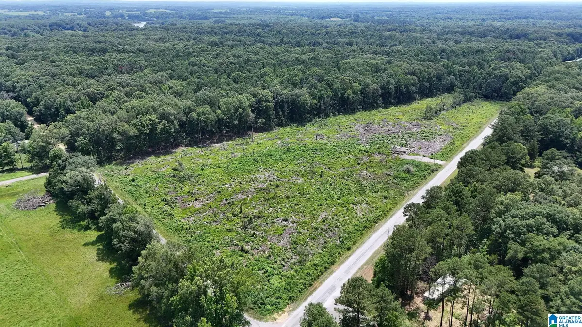 0 COUNTY ROAD 16, Greensboro, AL 36744 - #1