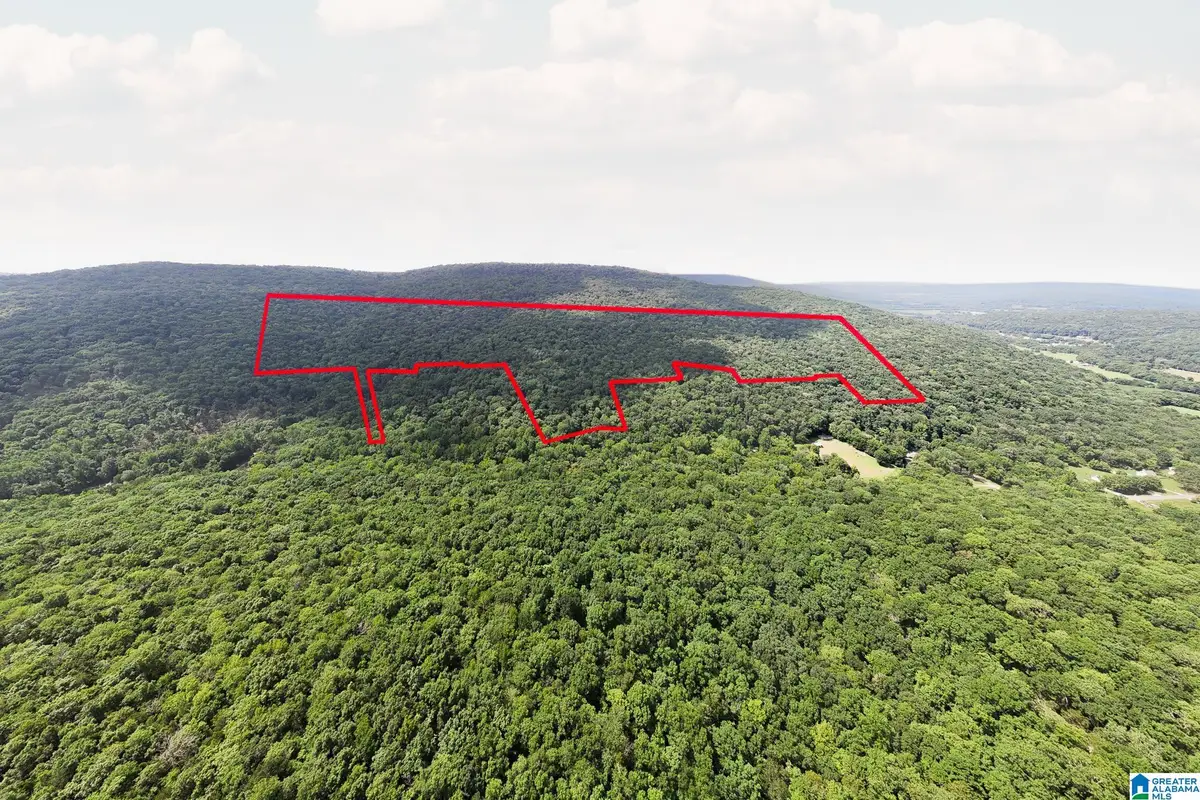 0 HURRICANE ROAD, New Market, AL 35761 - #1
