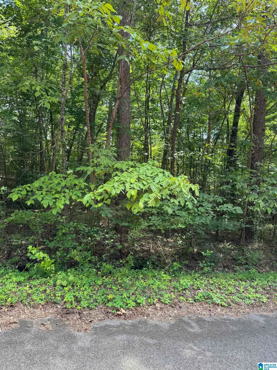8596 WOODVIEW LANE, Pinson, AL 35126 - #2