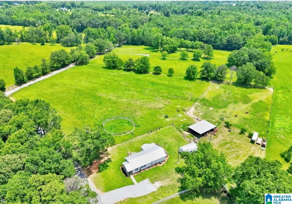 291 COUNTY ROAD 729, Jemison, AL 35085 - #1